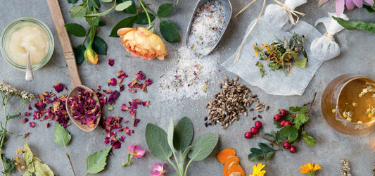 Botanical Skincare vs. Vegan: What’s the Difference?