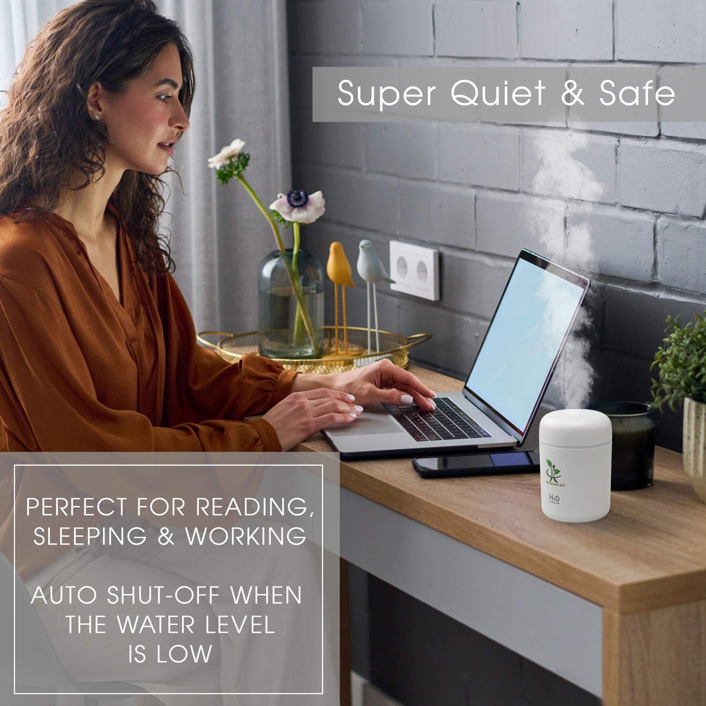 Woman using a laptop with a humidifier on a desk, text 'Super Quiet & Safe' displayed.