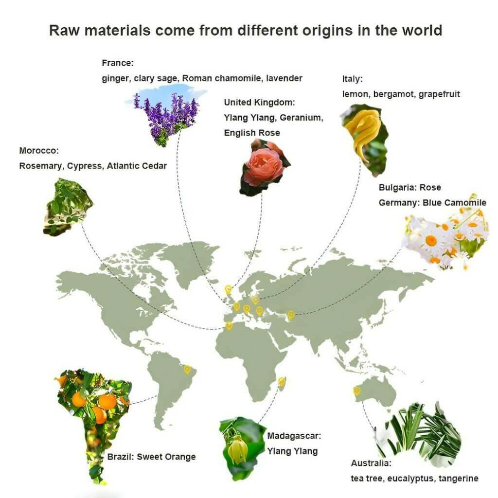 world map showing where eucalyptus essential oil coming from