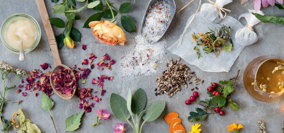 Botanical Skincare vs. Vegan: What’s the Difference?